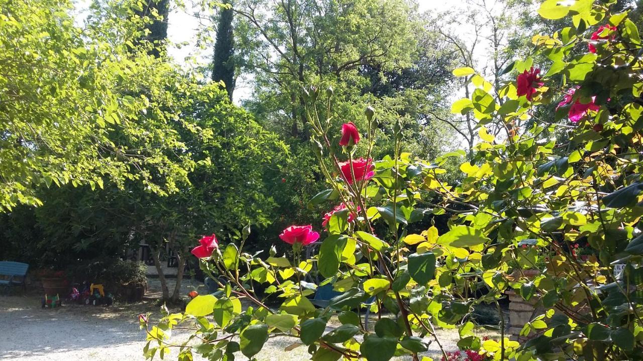 Agriturismo Alle Rose Volterra Exterior photo