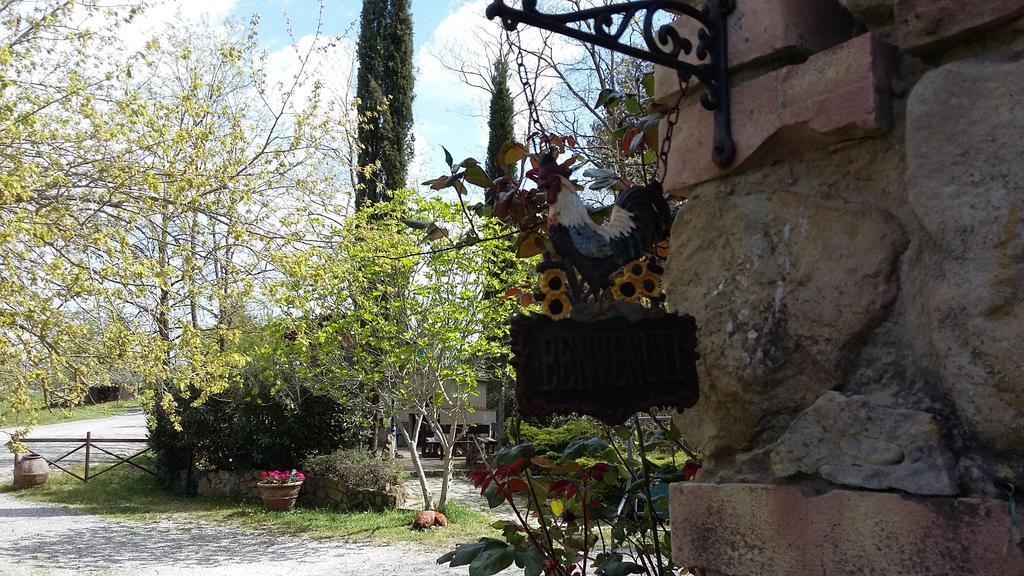 Agriturismo Alle Rose Volterra Exterior photo
